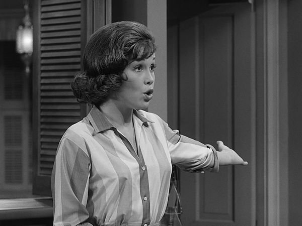 The Dick Van Dyke Show - The Unwelcome Houseguest