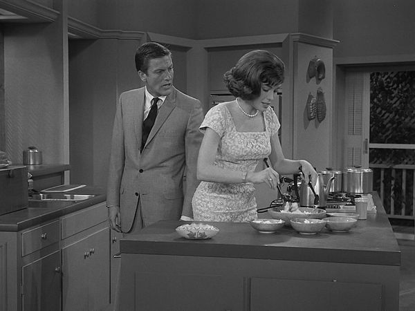 The Dick Van Dyke Show - Sally and the Lab Technician