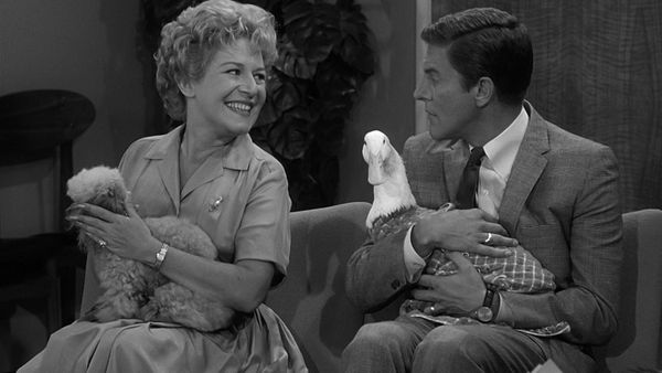 The Dick Van Dyke Show - Never Name a Duck