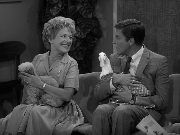 The Dick Van Dyke Show - Never Name a Duck
