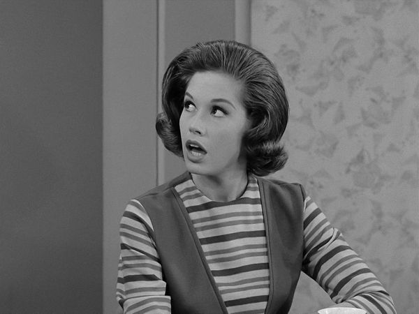 The Dick Van Dyke Show - The Secret Life of Buddy and Sally