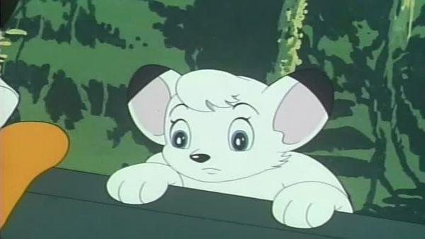 Kimba the White Lion - The Last Poacher