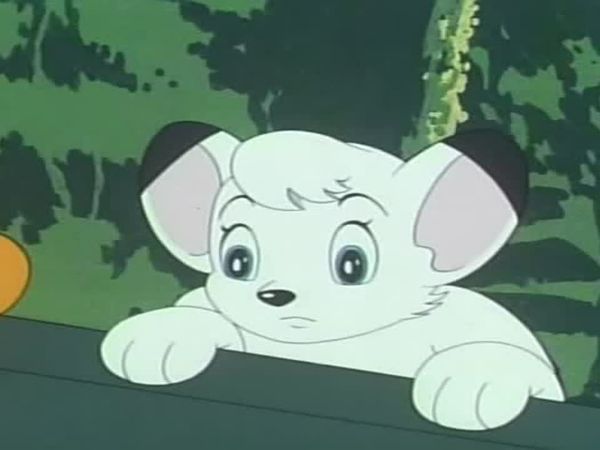Kimba the White Lion - The Last Poacher
