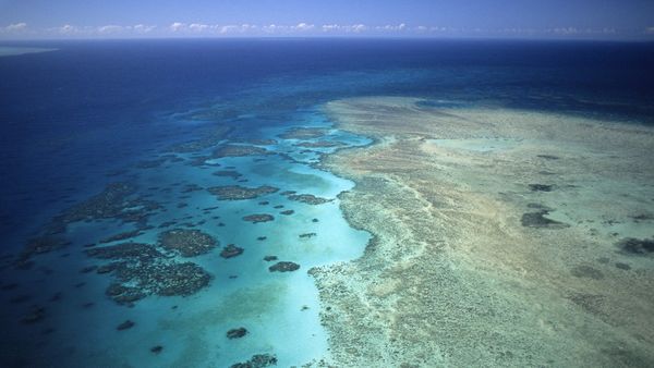 Aislados, una historia de supervivencia - Islas de fuego y coral