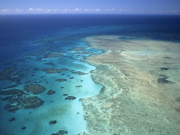 Aislados, una historia de supervivencia - Islas de fuego y coral