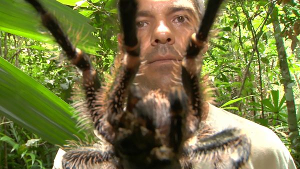 Frank de la jungla - Adiós Costa Rica y vuelta a Bangkok