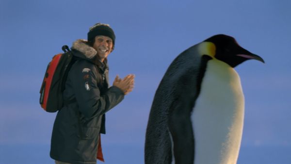 Andy's Wild Adventures - Emperor Penguins