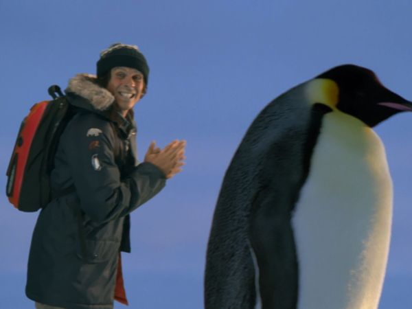 Andy's Wild Adventures - Emperor Penguins