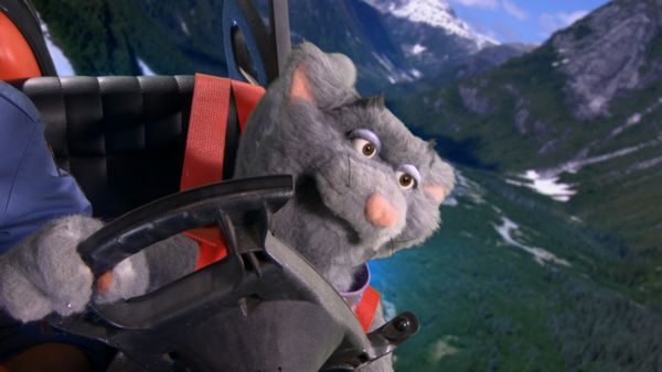 Andy's Wild Adventures - Grizzly Bears