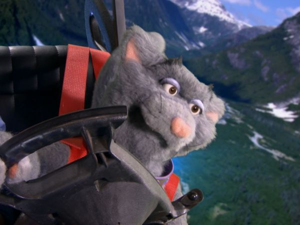 Andy's Wild Adventures - Grizzly Bears
