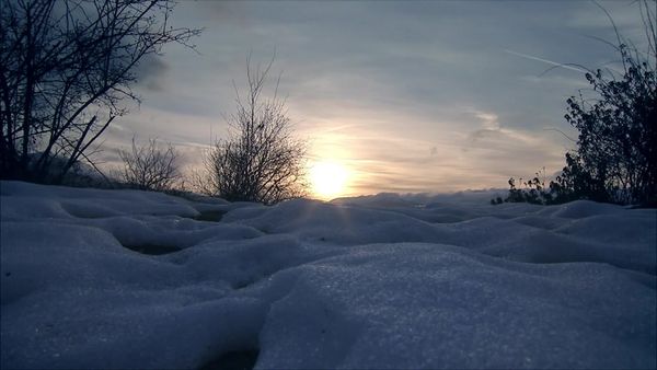 Espanha Selvagem - Inverno