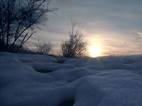 Espanha Selvagem - Inverno