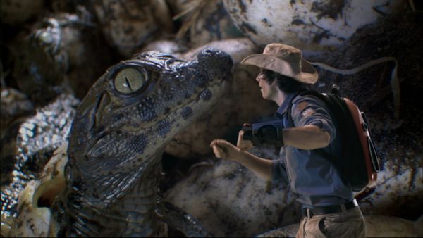 Andy's Wild Adventures - Caiman