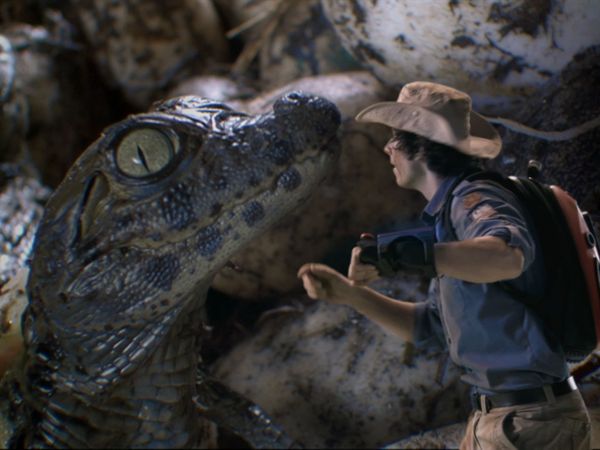 Andy's Wild Adventures - Caiman