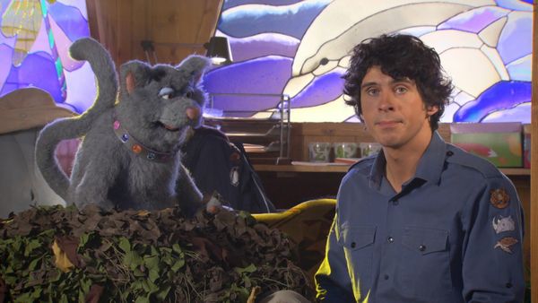 Andy's Wild Adventures - Tigers