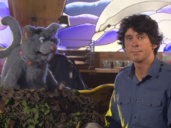 Andy's Wild Adventures - Tigers