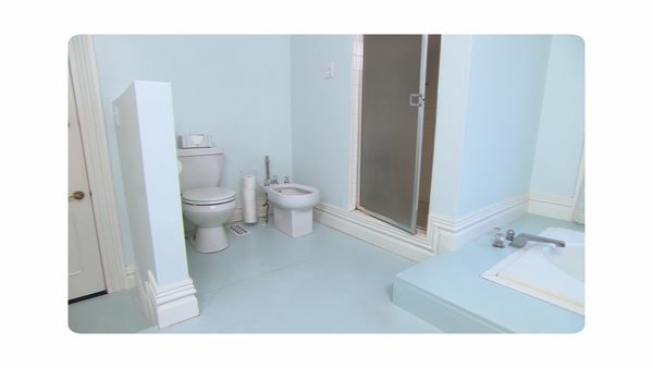 Sarah 101 - Bath Reno Redo