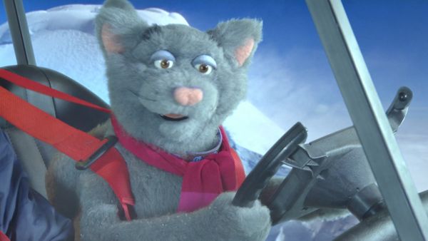 Andy's Wild Adventures - Polar Bears