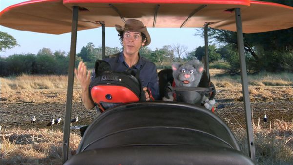 Andy's Wild Adventures - Okavango Safari