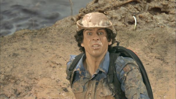 Andy's Wild Adventures - Bull Frogs