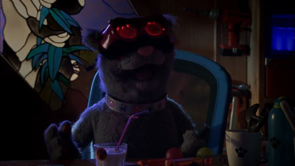 Andy's Wild Adventures - Beavers