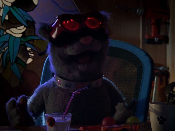 Andy's Wild Adventures - Beavers