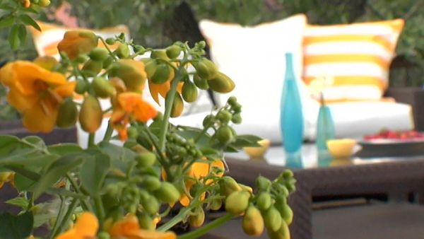 Design Inc. - Tova’s Deck