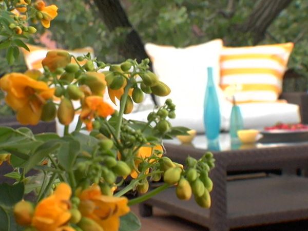 Design Inc. - Tova’s Deck