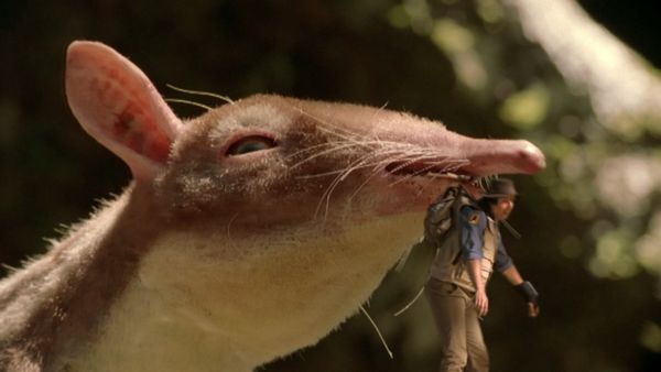 Andy's Prehistoric Adventures - Leptictidium & Fig