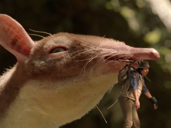 Andy's Prehistoric Adventures - Leptictidium & Fig