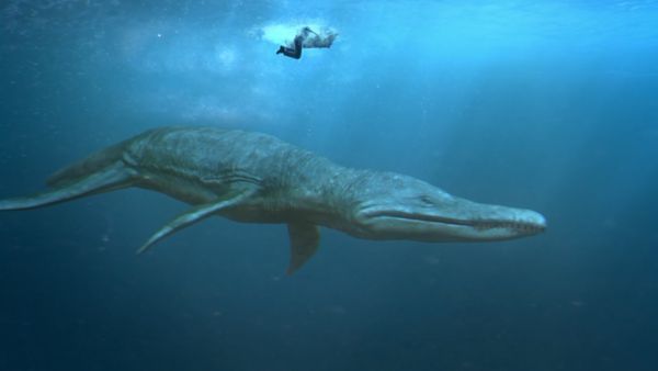 Andy's Prehistoric Adventures - Kimmerosaurus & Clamshell