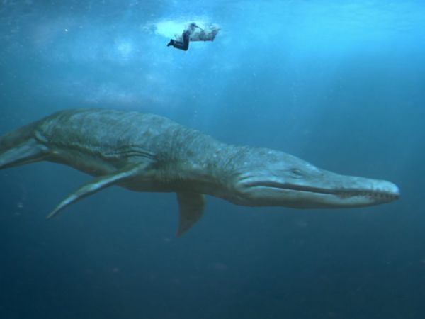 Andy's Prehistoric Adventures - Kimmerosaurus & Clamshell