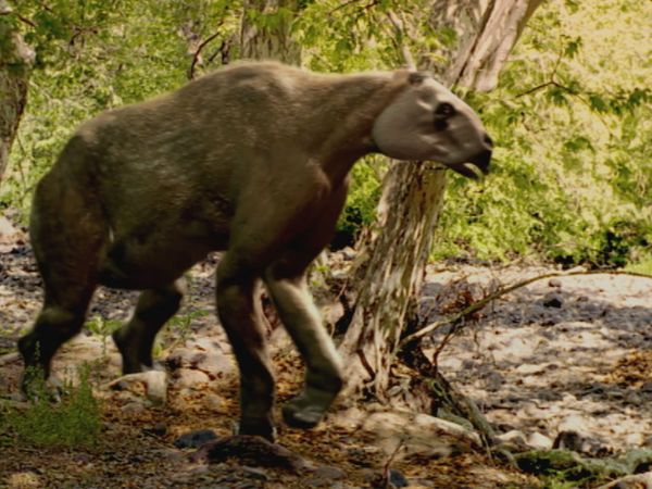 Andy's Prehistoric Adventures - Chalicothere & Claw