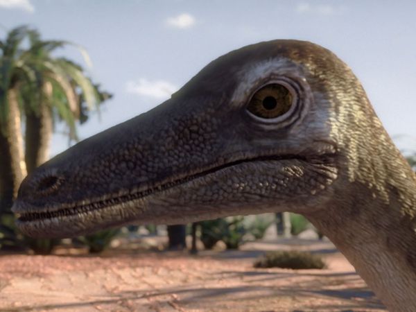 Andy's Prehistoric Adventures - Gigantoraptor & Tumbleweed