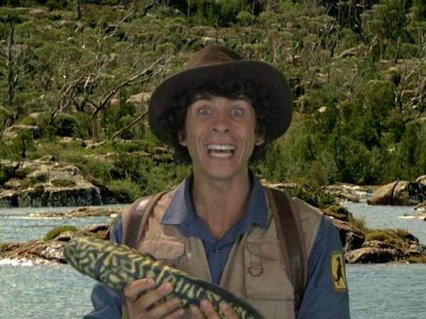 Andy's Dinosaur Adventures - Coelophysis and Fish
