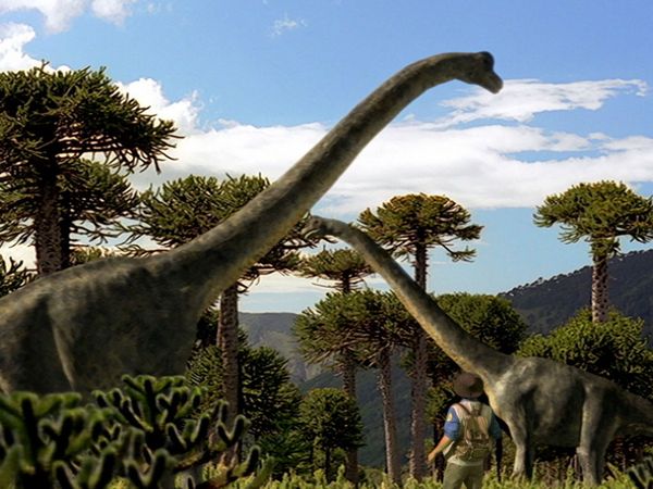 Andy's Dinosaur Adventures - Stegosaurus and Painting