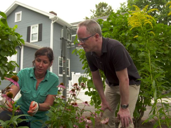 Ask This Old House - E21 | Echinaceas, Kitchen Punch List | Ask This Old House