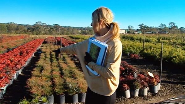 The Renovators - Challenge - Gardenmania