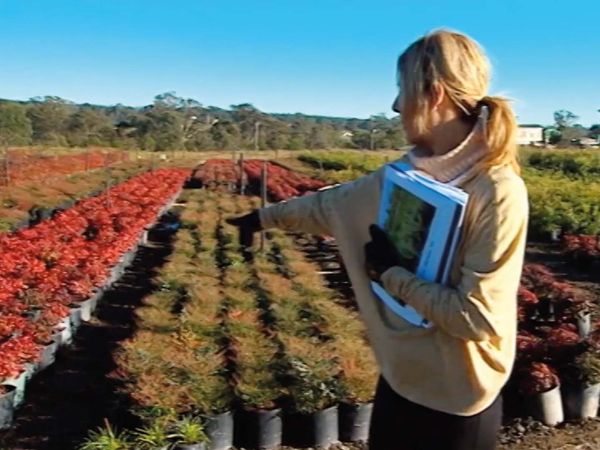 The Renovators - Challenge - Gardenmania