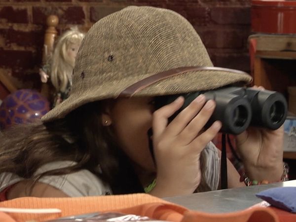 Finding Stuff Out - Birds Of Prey