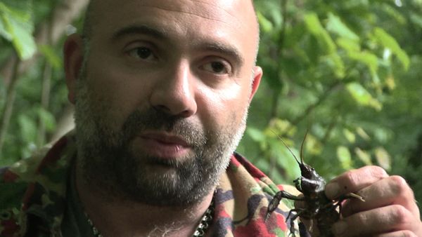 El Superviviente - Imparable