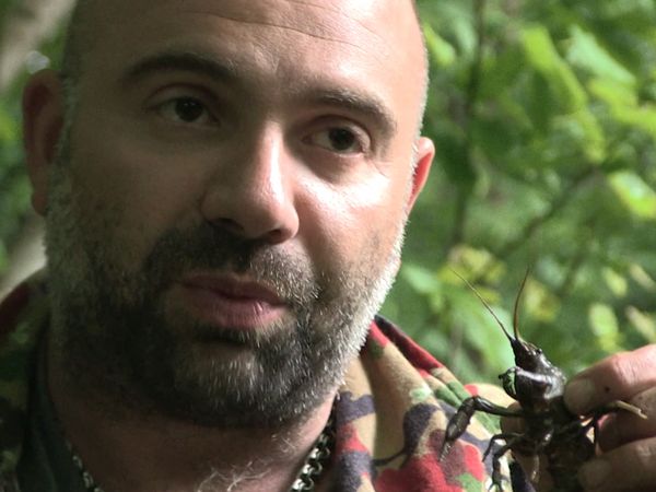 El Superviviente - Imparable