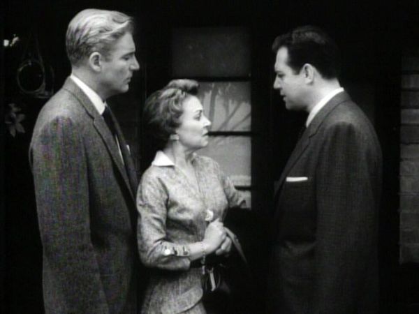 Perry Mason - The Case of the Vagabond Vixen