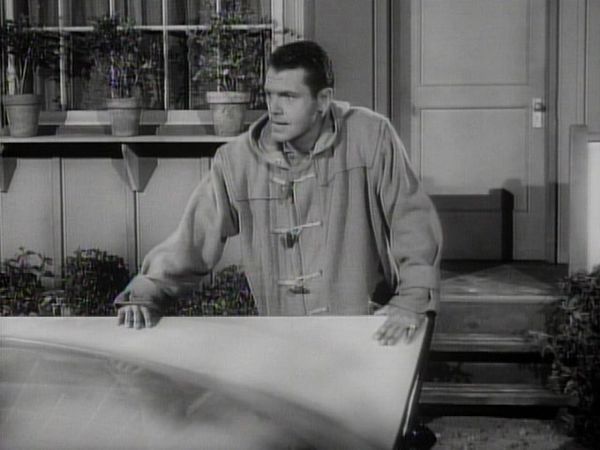 Perry Mason - The Case of the Frantic Flyer