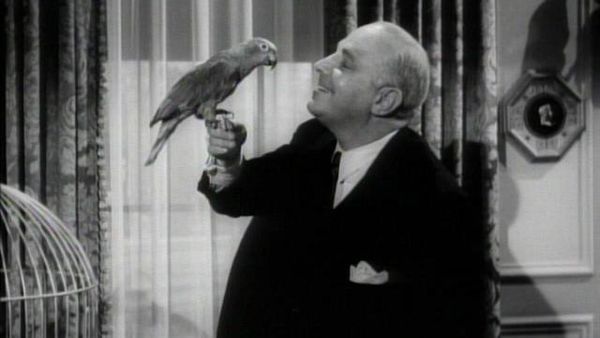 Perry Mason - The Case of the Perjured Parrot