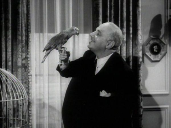 Perry Mason - The Case of the Perjured Parrot