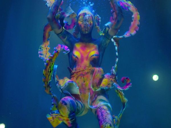 Skin Wars - Survive & Thrive