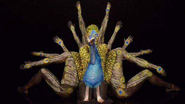 Skin Wars - Contort This
