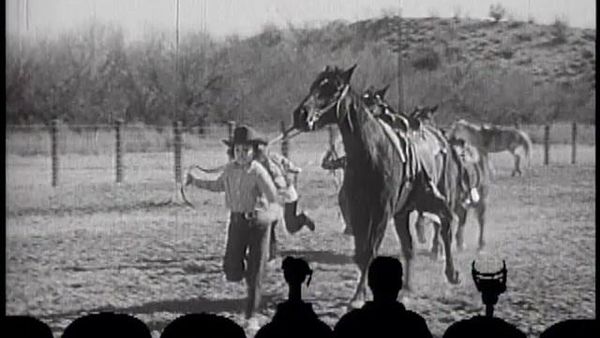 MST3K Shorts - MST3K Shorts: Junior Rodeo Daredevils