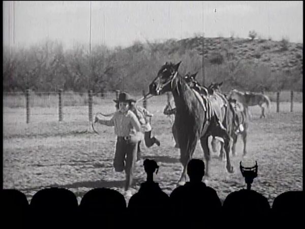 MST3K Shorts - MST3K Shorts: Junior Rodeo Daredevils